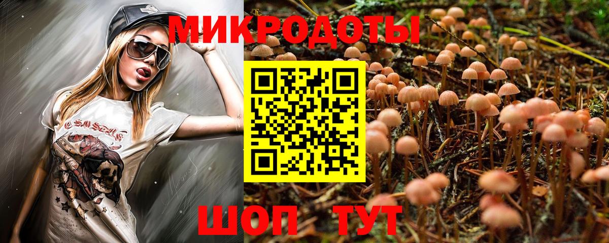Галлюциногенные грибы Psilocybe  Вход с VPN  магазин продажи наркотиков  Псилоцибиновые грибы Magic Shrooms  Кыштым 